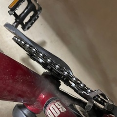 ルイガノ自転車の画像