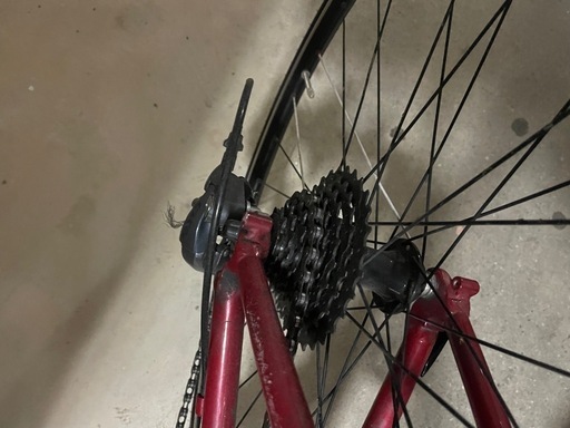 ルイガノ自転車