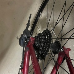 ルイガノ自転車の画像