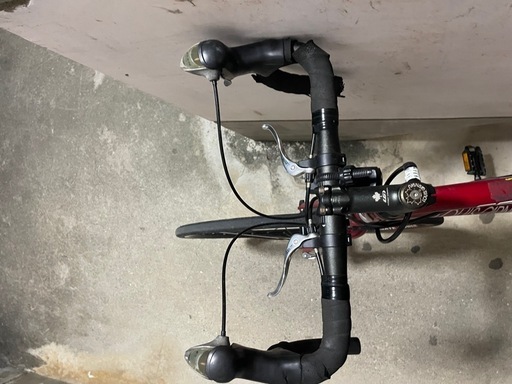 ルイガノ自転車
