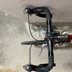 ルイガノ自転車の画像