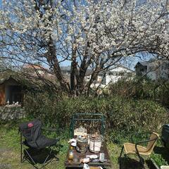 グルチャメンバー仲間募集