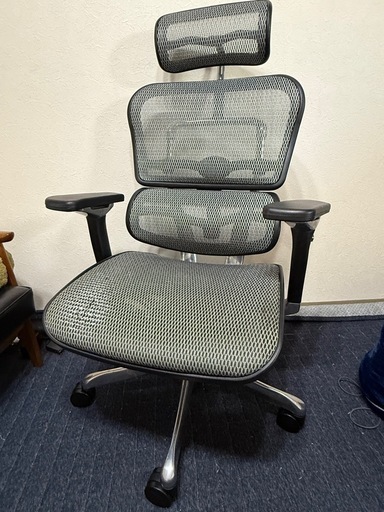 エルゴヒューマンプロ グレー