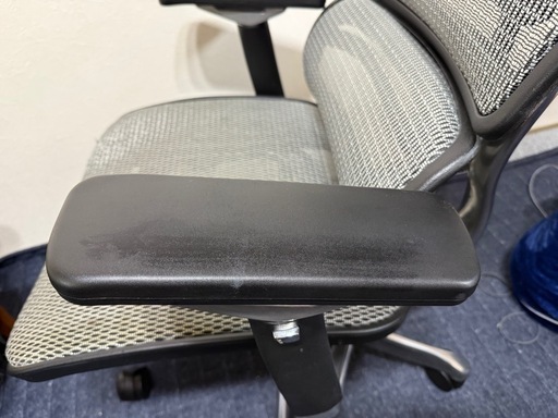 エルゴヒューマンプロ グレー