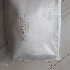 Snow Manポーチ※未使用品※値下げしましたの画像