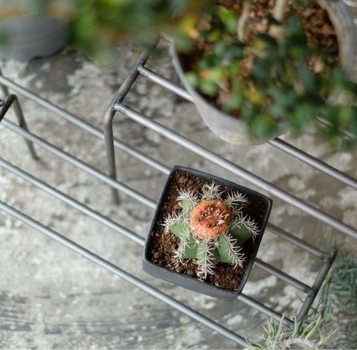 KNOP plant stands [3 pieces set] ノップ　プラントスタンド