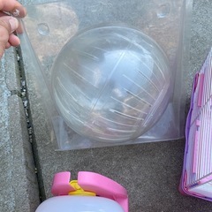 ハムスター用品の画像