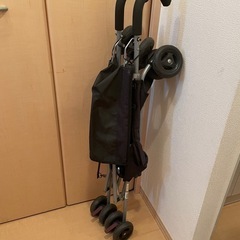 ベビーバギーの画像