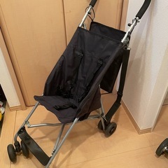 ベビーバギーの画像