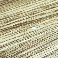 家具 生活家具 無印良品　折りたたみテーブル　ブラウン×ブラックの画像