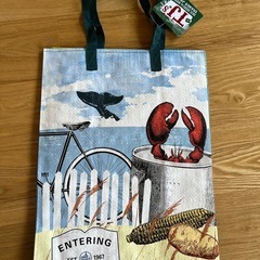 Trader Joe's エコバッグ 新品　ボストンデザイン