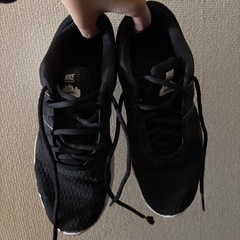 23.5センチ靴4足の画像