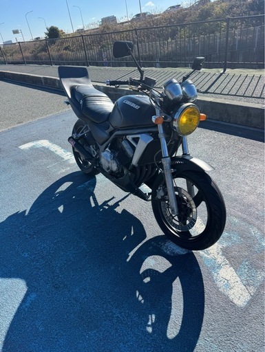 バリオス1型