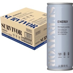エナジードリンク ゼロ サバイバー 250ml×30缶①