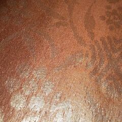 帯②きらきらの画像