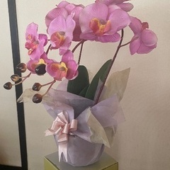 胡蝶蘭赤ピンク造花オブジェ