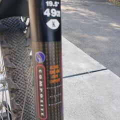 Giant Carbonの画像