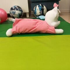 志摩スペイン村 ダルシネアのティシュケース