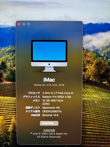 【2019年製】Apple iMac 21.5インチ + Magic Keyboard & Magic Mouse セット