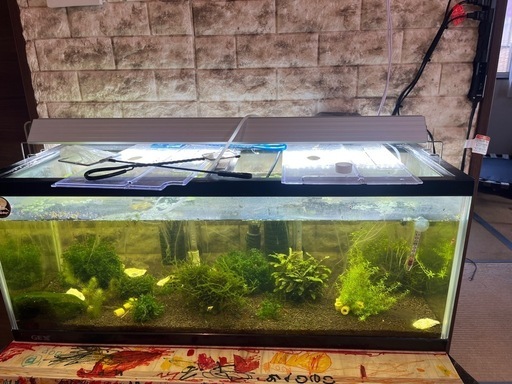 マリーナガラス水槽 90cm MR-13i LEDライトセット