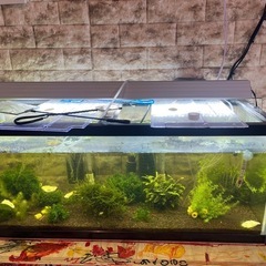 マリーナガラス水槽 90cm MR-13i LEDライトセットの画像