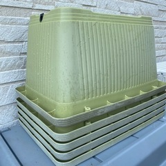 (受渡し予定者決定)メダカ　水槽　　容器　　　の画像