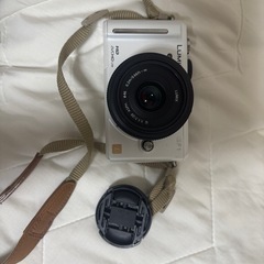 【値下げしました】Panasonic LUMIX GF-1ミラー...