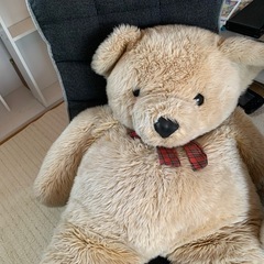 大きなクマのぬいぐるみの画像