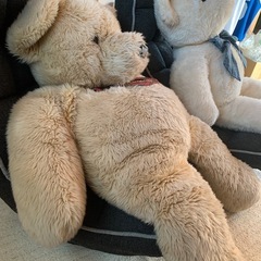 大きなクマのぬいぐるみの画像