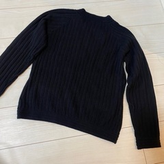 Passianale パッシアナーレ　M  ニットの画像