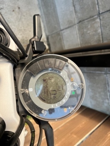 スヴァルトピレン250