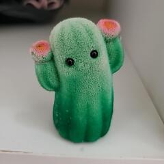 かわいいサボテン★