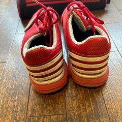 ゴルフシューズ（ケース付き）の画像