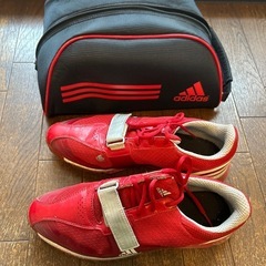 ゴルフシューズ（ケース付き）の画像