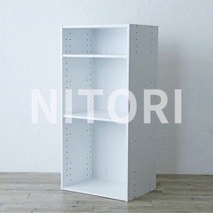 棚板・天板底板が可動　カラーボックス2個セット