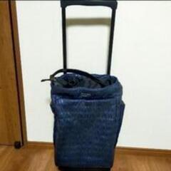 スワニー 2way キャリーバッグ