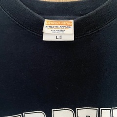 ヒョードル Tシャツの画像