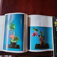 生け花一輪生け事典•岡田広山のいける野の花山の花の画像