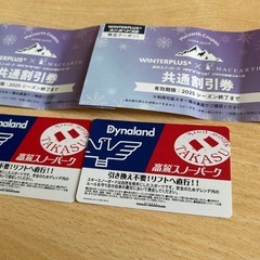 高鷲スノーパーク、ダイナランド共通リフト券 （高鷲スノー
