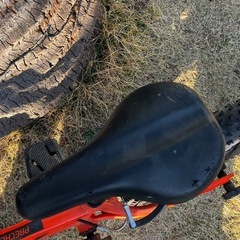 TREK自転車
