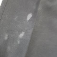 ＆学生ズボンW82の画像