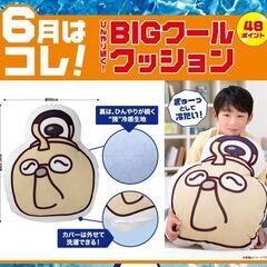 伊藤園 健康ミネラルむぎ茶 絶対もらえるキャンペーン(2024) ひんやり続く！BIGクールクッションの画像
