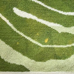 モンステラ の  玄関マットの画像