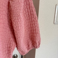 レディーストップスの画像