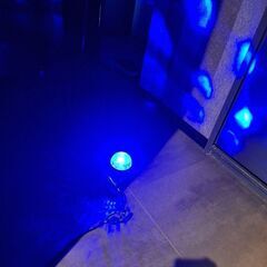 家庭用ディスコ風⁉️の画像