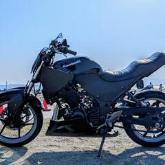 ninja250r