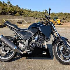 ninja250rの画像