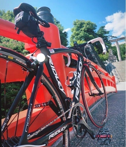 RIDLEY NOAH RS 