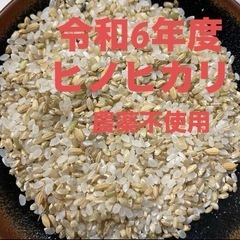 令和6年度 新米 ヒノヒカリ 農薬不使用 くず米 5kg ①
