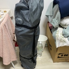 300の画像